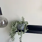 Myroom In Stroomi Area טאלין