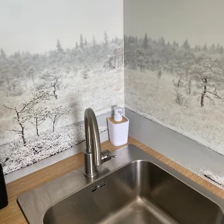 Apartamento Myroom In Stroomi Area Talin