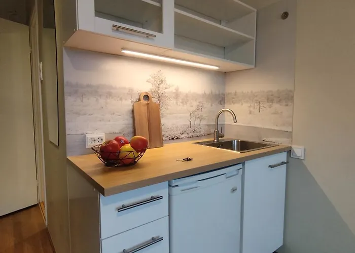 Myroom In Stroomi Area *