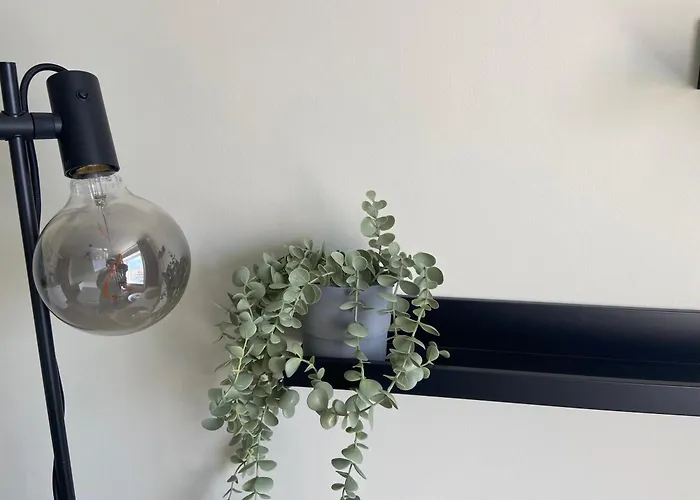 Myroom In Stroomi Area تالين